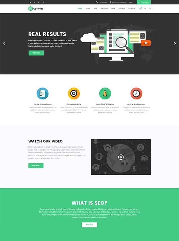 Optimize – SEO & Social Media Theme