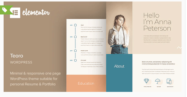 Teoro – CV Resume WordPress Theme